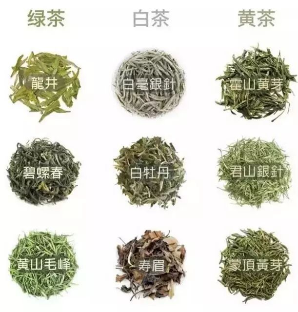 綠茶白茶黃茶品類